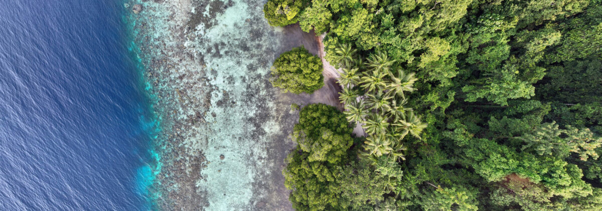 Raja Ampat, Indonesia. Photo by Rhett Ayers Butler