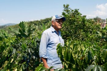 Bernardo Vallejo inspects in Finca Las Brisas. Image © Victor Raison.