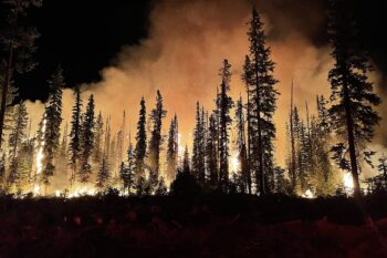 Banner image of a wildfire in Umatilla National Forest, by Brendan O’Reilly/U.S. Forest Service–Pacific Northwest Region via Flickr (Public domain).