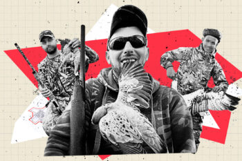 Maltese Falcon Poachers: European hunters endanger Egypt's birds