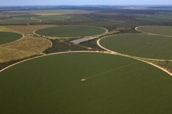 irrigation field