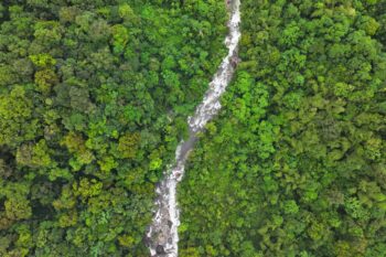 Reserva Narupa, Ecuador. Photo by Rhett Butler/Mongabay.