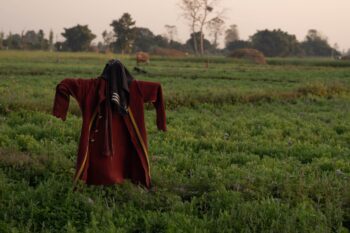 Scarecrow to protect a fields and crops. Image by Tulsi Rauniyar for Mongabay..