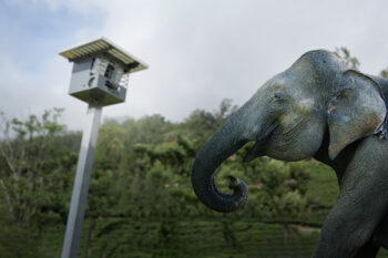 Elephant Solar Fence, India.