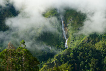 Ecuador's Tapichalaca Reserve, created by Jocotoco Conservation Foundation.