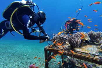 Maoz Fine and Naama-Rose Kochman visit the lab’s coral nursery and monitoring station near Eilat.