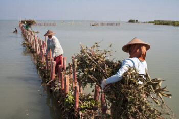 Women in Timbul Seloko village, Central Java, help with the permeable dam project.