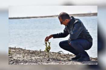 Ahmed Albaaj of the U.N. World Food Programme planting a mangrove in Basra.