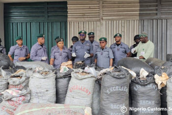 Nigerian authorities with pangolin scales seized in Lagos in April. Image courtesy of Nigeria Customs Service.