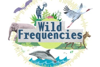 Wild Frequencies