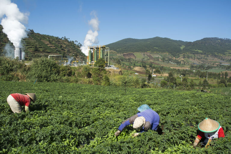 Farmers in the fields around a geothermal power plant in Central Java.