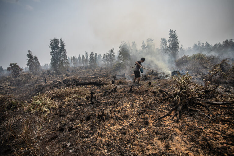 A Dayak Ngaju tribe man tries to extinguish fire on burning peatland in Mantangai, Central Kalimantan.