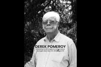 Derek Pomeroy. Photo by Andrew Plumptre