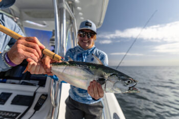 NC State PhD student Bethany Wager catching and tagging a False Albacore for The Albie Project. Image courtesy of American Saltwater Guides Association.