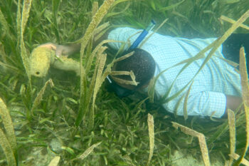 Waziri Mpogo harvests sea cucumbers at his ranch in Tanzania's Mafia Island. Image by Ashoka Mukpo for Mongabay.