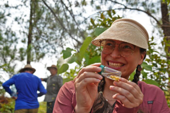 Smithsonian Tropical Research Institute scientist Danny Hernández Cuadra smiles at a small vial of stingless bees she collected for research.