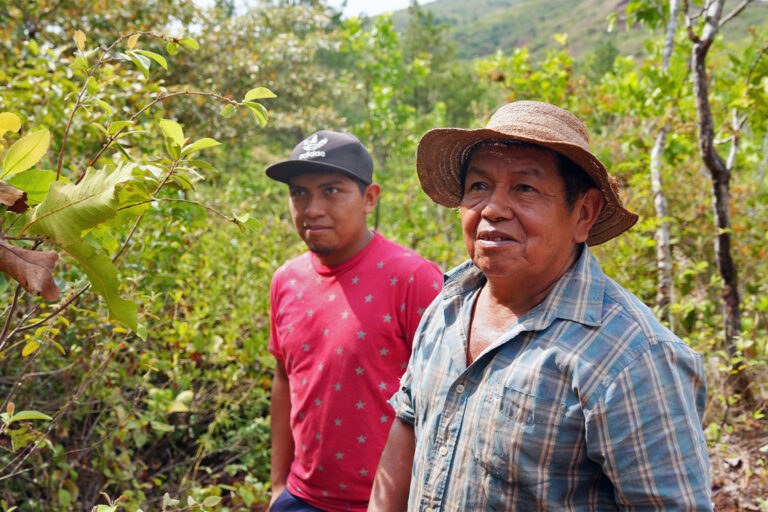 Isidrio Hernandez-Ruiz and his son are participants of the collaborative reforestation trial with Smithsonian and Traditional Leadership.