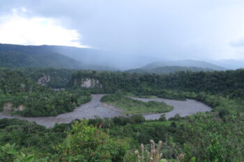 he Upano River, in the Morona Santiago Province in Ecuador. Image courtesy of Galo Zapata-Ríos/WCS (CC BY-NC 2.0)