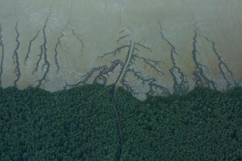 Cape Orange National Park on the Amazonian coast of the state of Amapá. Offshore oil block 59 is located 160 kilometers (99 miles) away. Image © Victor Moriyama/Greenpeace.