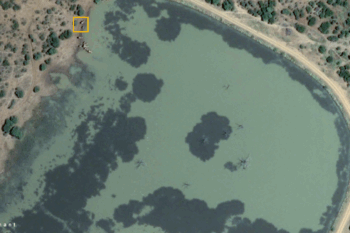 Banner image: The Madikwe Game Reserve in South Africa captured by the Pléiades Neo satellite. Image courtesy of the Airbus Foundation and Connected Conservation Foundation.