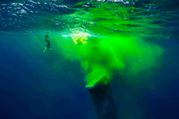Nontoxic dye released from an artificial upwelling experiment off the Canary Islands. That experiment, set to last weeks, ended after just one day when the pump failed. “To most of us that proved … the technical readiness of this approach is not there,” says Michael Sswat, a postdoctoral researcher at GEOMAR Helmholtz Centre for Ocean Research, who was part of the research team.
