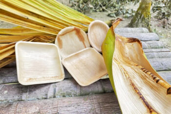 Areca leaves and plates.