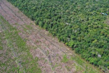 Peatland deforestation in Indonesia. Image by Rhett A. Butler/Mongabay.