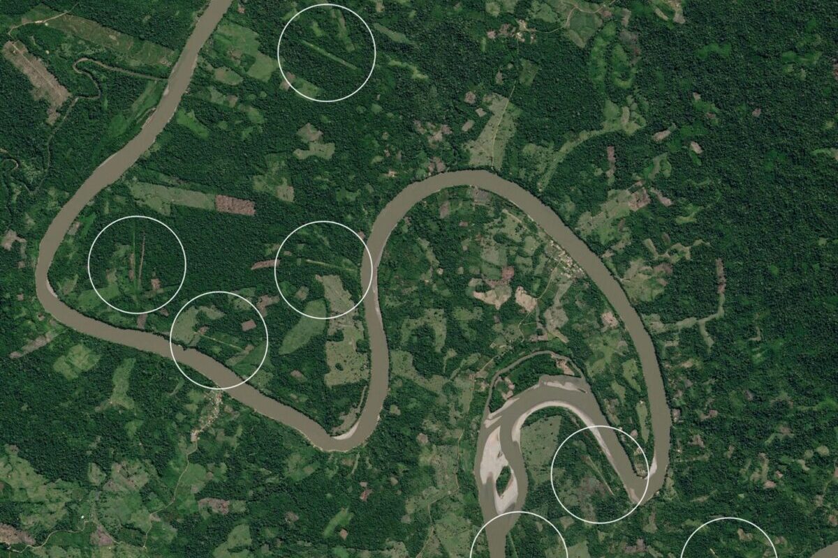 Mongabay Latam wins the Global Shining Light Award for investigative journalism