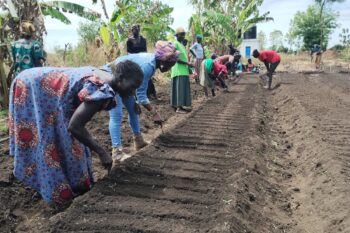 women working in a field in Uganda