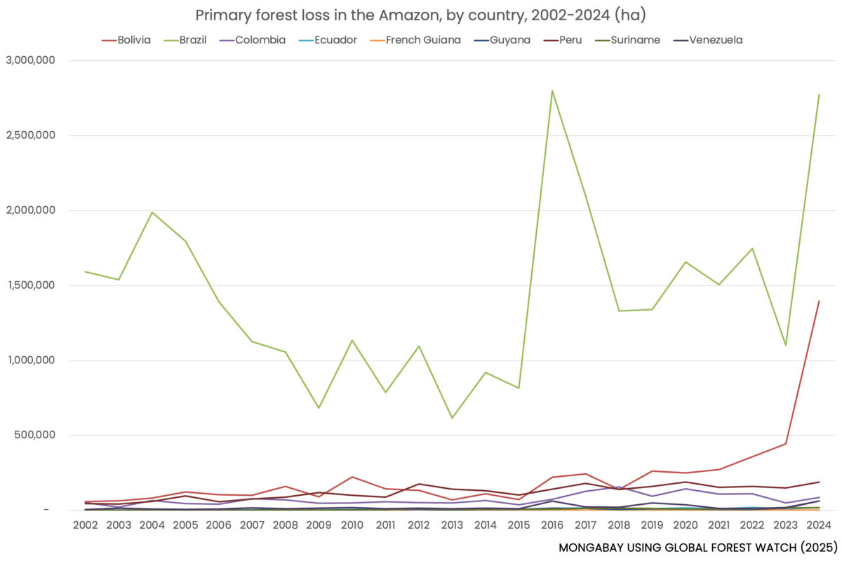 climate-strikes-the-amazon-undermining-protection-efforts