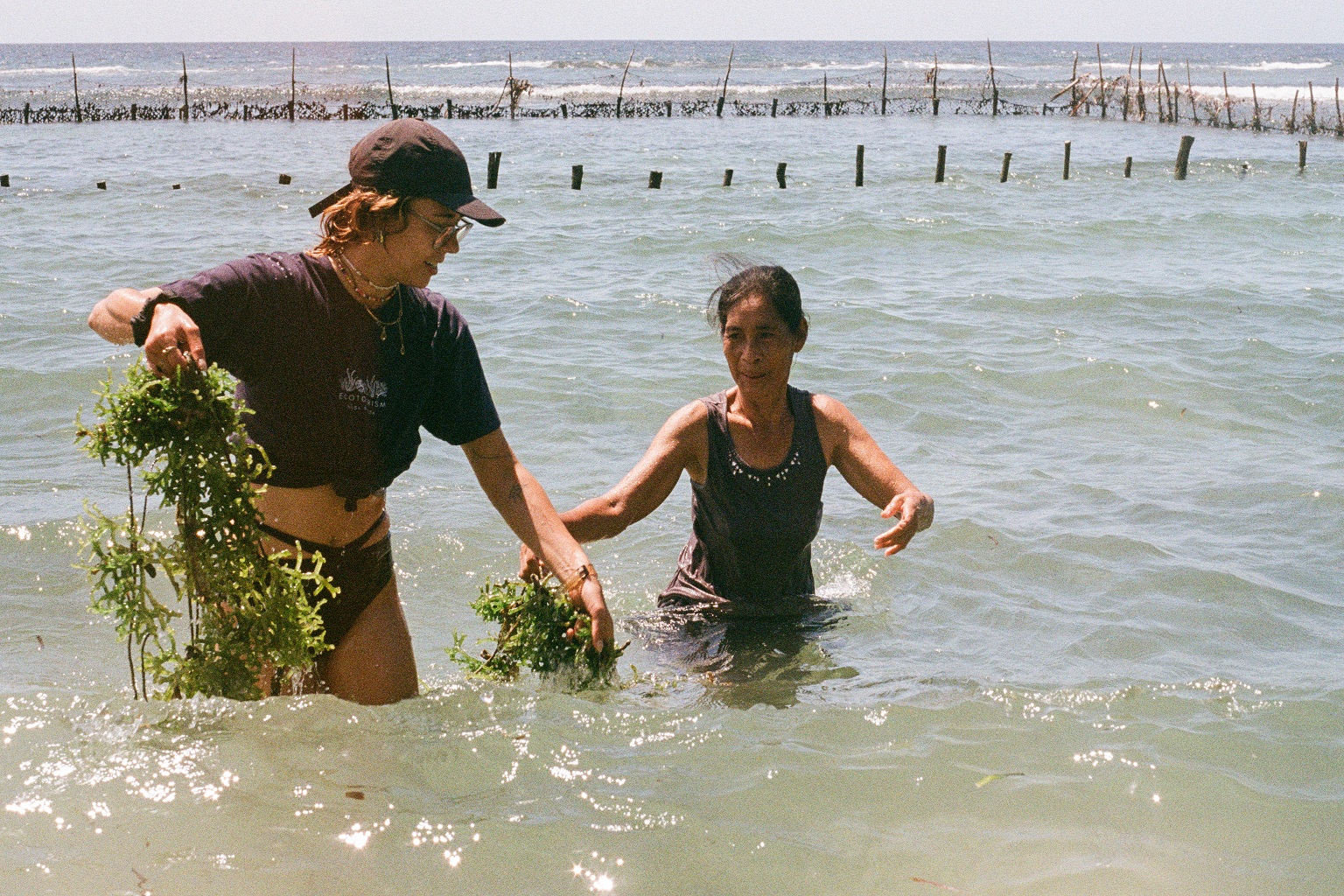 Ibu Nyoman Mitri and a visiting volunteer gather freshly harvested seaweed in the shallows of Nusa Penida before bringing it ashore for sorting and quality control.
