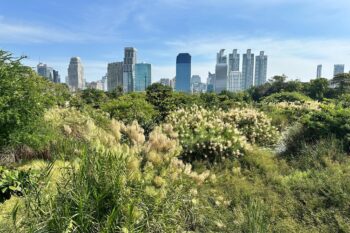 Urban greenspace in Bangkok