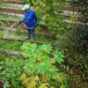 Community-led urban gardens have long existed in the city of Salvador in Brazil.