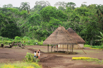 An Achuar village in the Ecuadorian Amazon.