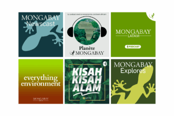 Mongabay podcasts