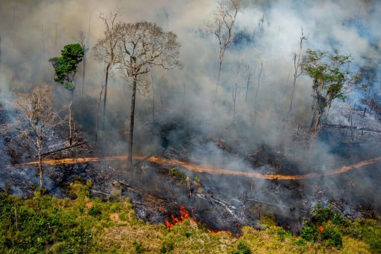 Fire next to the borders of the Kaxarari Indigenous territory, in Labrea, Amazonas state. Taken 17 Aug, 2020. Image by Christian Braga / Greenpeace.
