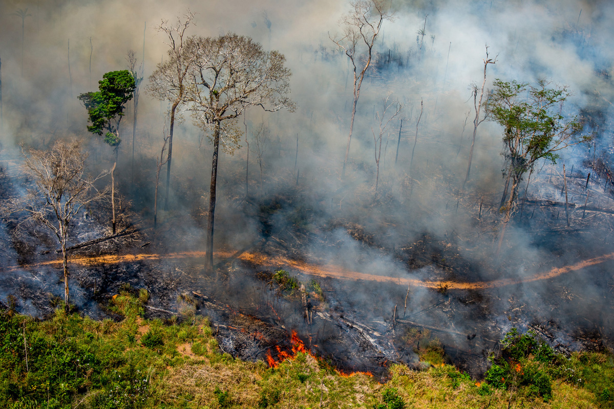 Fire next to the borders of the Kaxarari Indigenous territory, in Labrea, Amazonas state. Taken 17 Aug, 2020. Image by Christian Braga / Greenpeace.