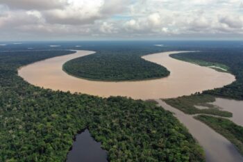 The Amazon rainforest. Photo by Rhett Ayers Butler.