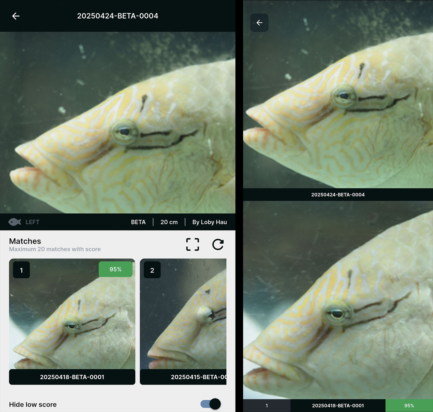 Screenshots of the Saving Face app indicating the best matches of individuals with a photo.