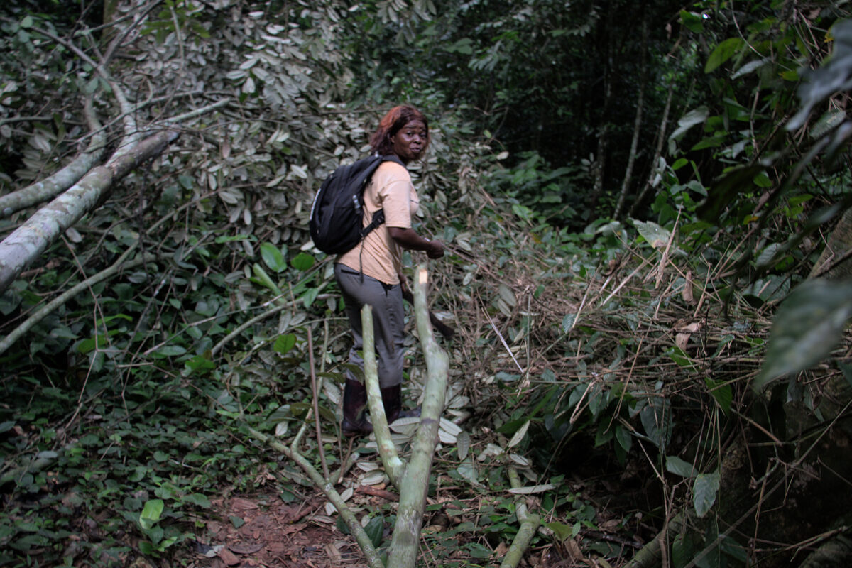 Marlyse hiking in the heart of the Lobéké National Park, south-east Cameroon. Image by Yannick Kenné for Mongabay.