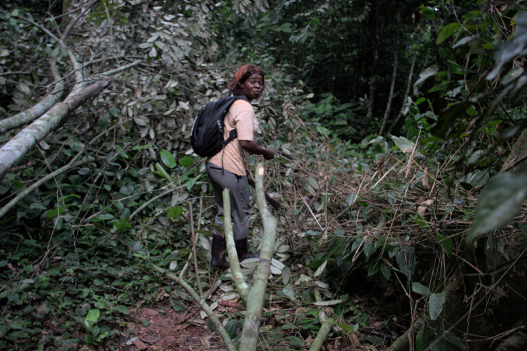Marlyse hiking in the heart of the Lobéké National Park, south-east Cameroon. Image by Yannick Kenné for Mongabay.