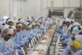 Workers prep poultry at the meatpacking company JBS in the Brazilian state of Paraná. Image by Eraldo Peres/Associated Press.