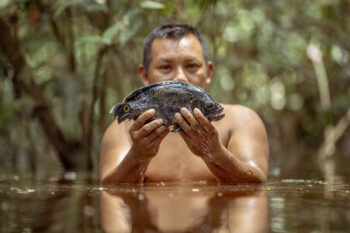 A community member catching fish in the Fluvial Star of Inírida, where the Guaviare, Atabapo and Inírida rivers meet. Image courtesy of Camilo Díaz for WWF Colombia.