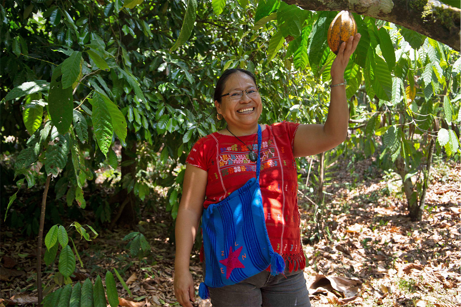 Cristina Coc, director and co-founder of the Julian Cho Society, grabs a cacao fruit.