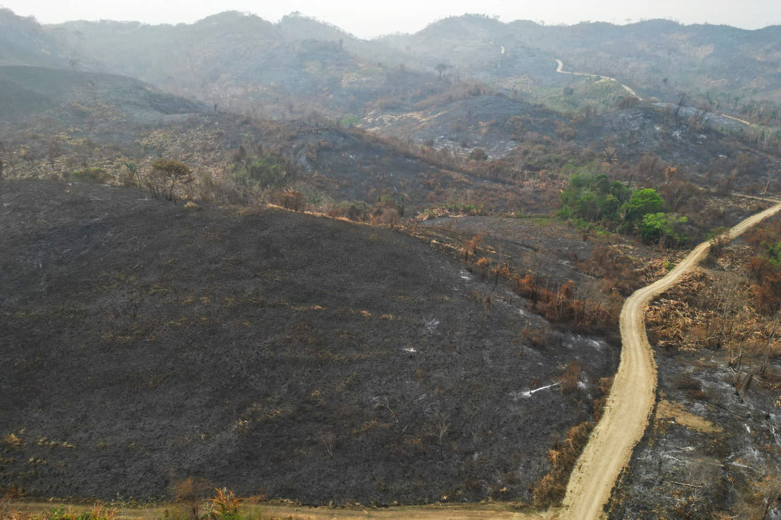 The fires turned tropical forests and farms into ashes.