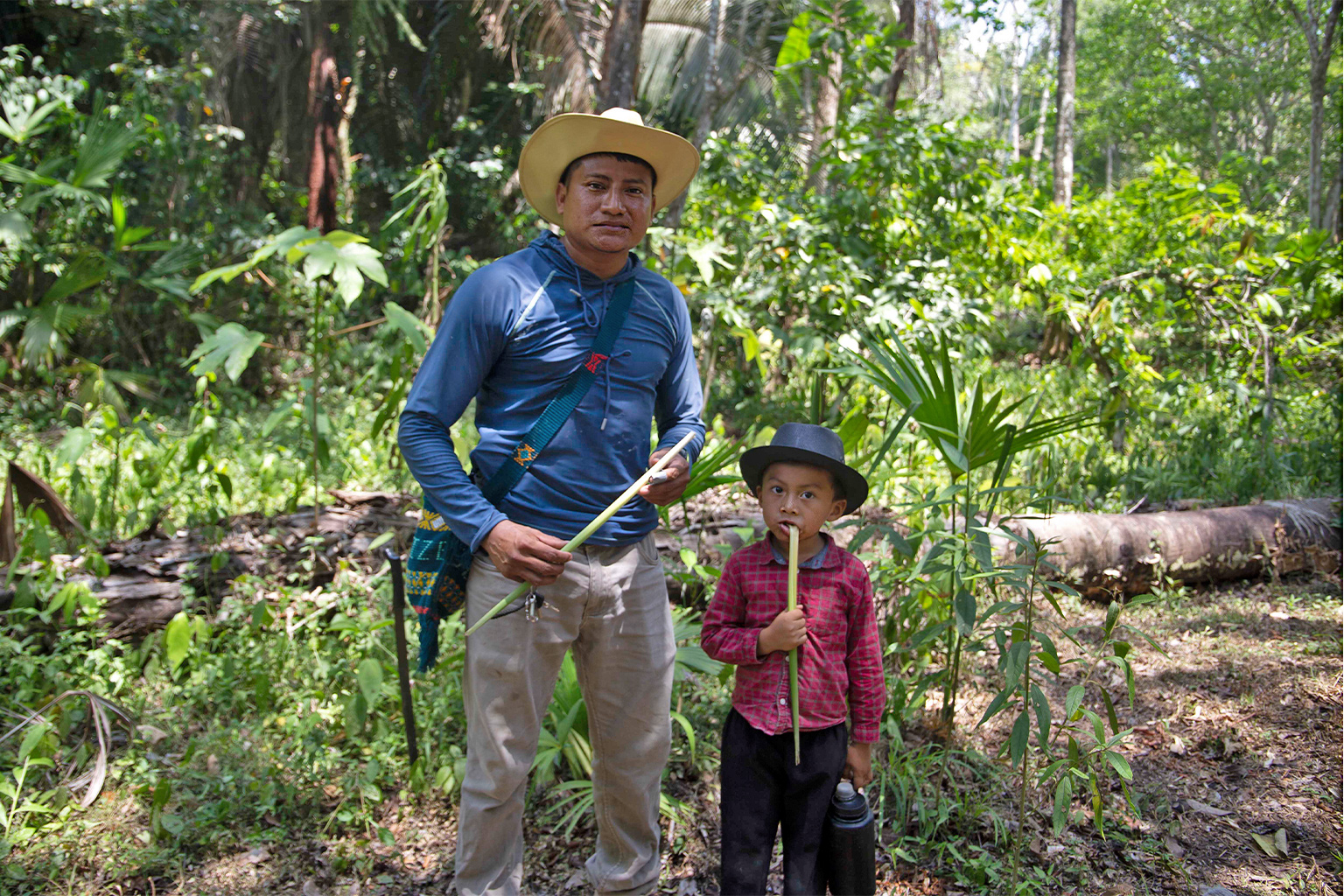 Murdy and his son Erder eat a traditional jippijappa palm cultivated in their farm.
