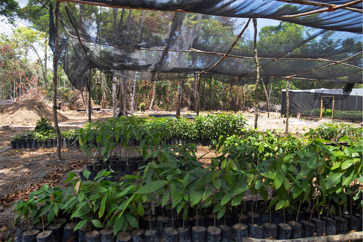 3-Nursery-in-the-Laguna-community