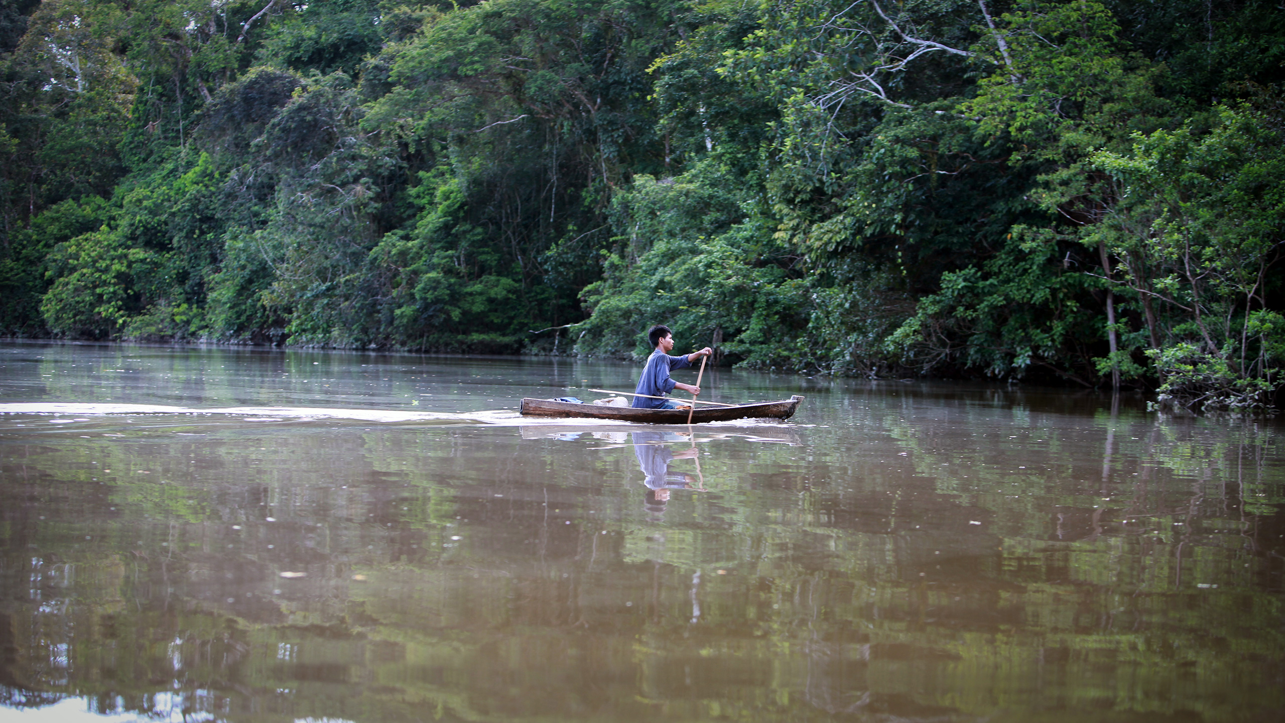 A member of the Indigenous Tikuna nation paddling a dugout canoe on a tributary of the Amazon in Colombia. Photo by Rhett A. Butler/Mongabay.