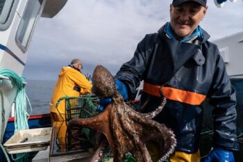 Julio and Isaac Blanco fish octopus along the coast of Asturias, Spain, using traditional nasas cages.