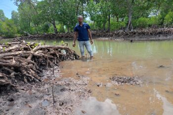 Emmanuel Gona, a fisherman and community scout from Muyu wa Kae village in Marereni, believes that conserving and restoring mangrove ecosystems is key to boosting fish populations.